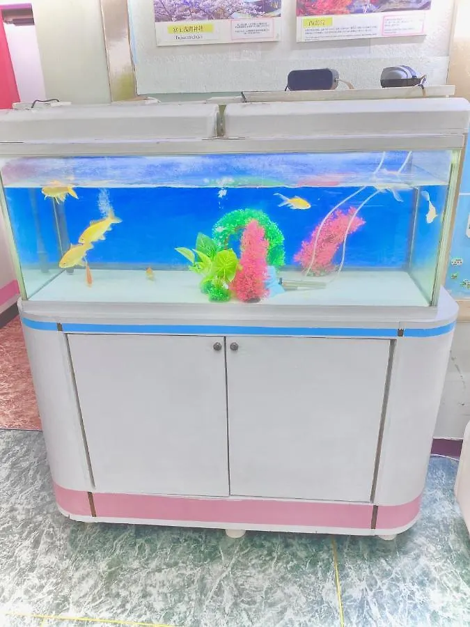 旅馆 奉仕会馆酒店 東京都