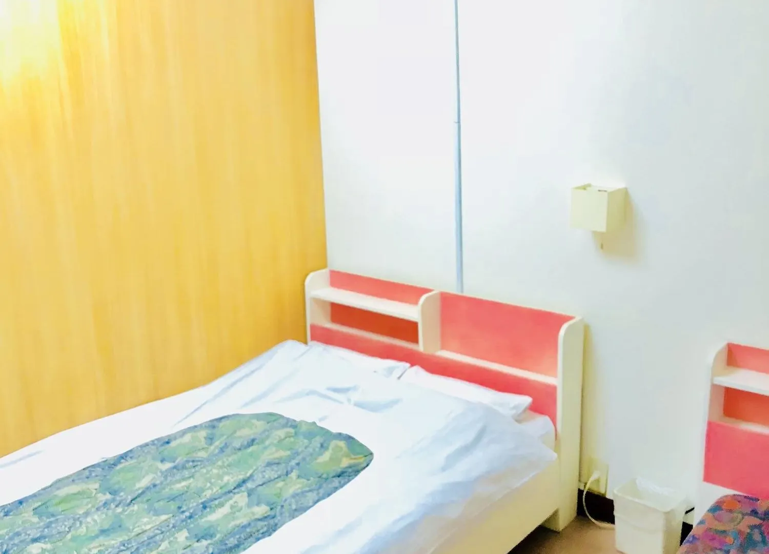 Hostel Hotel Houshi Kaikan Tokyo